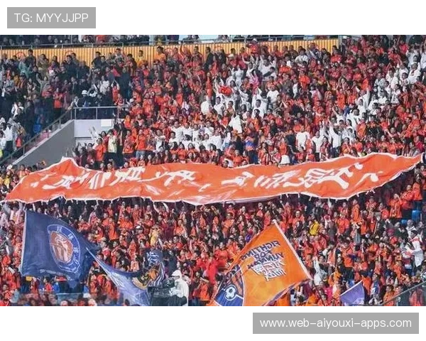 中国足球职业联赛促进足球产业链协同发展，我国职业足球联赛