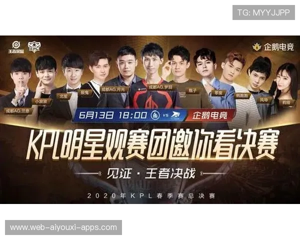 职业战队的粉丝福利设计方案